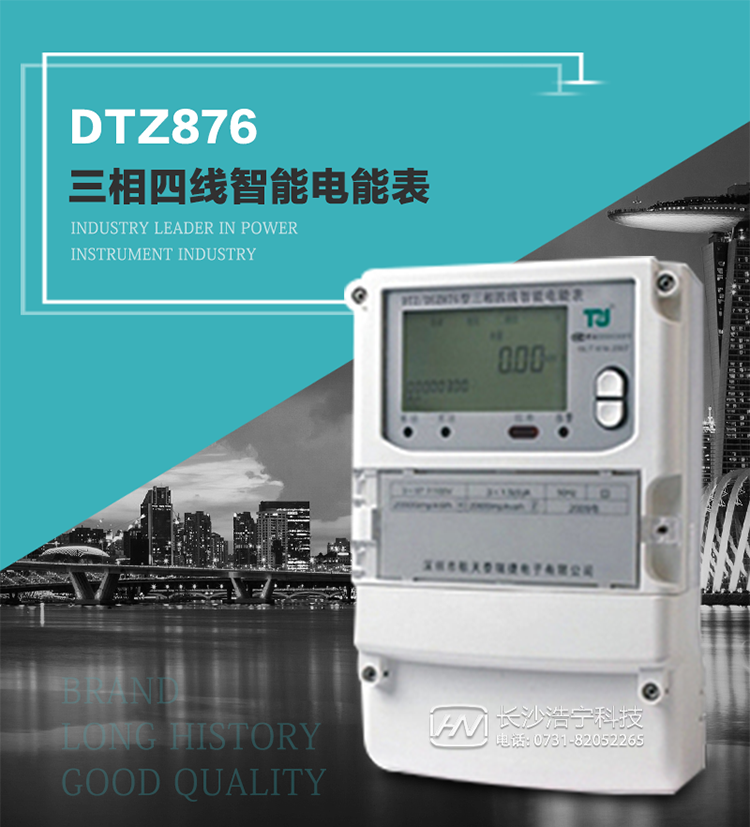 DTZ876型智能電能表是采用大規(guī)模集成電路，應(yīng)用數(shù)字采樣處理技術(shù)及SMT工藝，根據(jù)工業(yè)用戶實(shí)際用電狀況所設(shè)計制造的具有現(xiàn)代先進(jìn)水平的儀表。
該表性能指標(biāo)符合GB/T 17215.321-2008《交流電測量設(shè)備 特殊要求》第21部分靜止式有功電能表（1級和2級）、GB/T 17215.322-2008《交流電測量設(shè)備 特殊要求》第22部分靜止式有功電能表（0.2S級和0.5S級）國家標(biāo)準(zhǔn)和DL/T 614–2007《多功能電能表》標(biāo)準(zhǔn)，其通信符合DL/T645–2007《多功能電能表通信協(xié)議》的要求，并兼容DL/T645–1997《多功能表通信規(guī)約》的要求，可根據(jù)功能定制需求符合多功能電能表的各項(xiàng)技術(shù)要求。