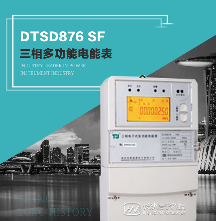 產(chǎn)品型號(hào)：DTSD876 SF型 三相多功能電能表
精度等級(jí)：有功0.5級(jí) 1級(jí)；無(wú)功2級(jí)&nbsp;
額定電壓： 3×100V 3×57.7/100V 3×220/380V&nbsp;
額定電流： 1.5(6)A 5(20)A 10(40)A 15(60)A 20(80)A 30(100)A&nbsp;
頻 率： -40℃～+70℃&nbsp;
工作溫度：≤0.5S&nbsp;
顯示方式： ≥1000mAh&nbsp;
整機(jī)功耗： ≥10年&nbsp;
重量： 約2.4kg&nbsp;
外形尺寸： 293mm×175mm×80mm